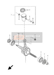 Albero motore & Pistone